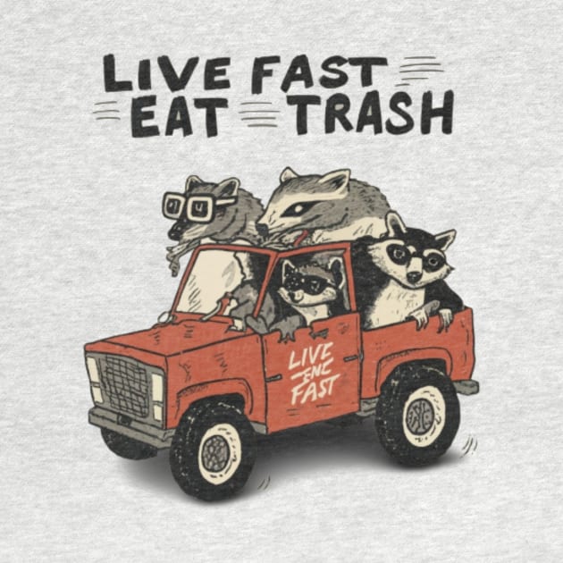 Funny Opossum Raccoon Meme, Live Fast Eat Trash by ThatVibe